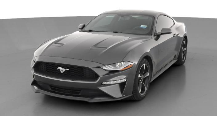 2019 Ford Mustang  -
                Haines City, FL