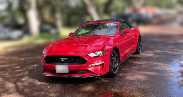 2022 Ford Mustang  -
                Haines City, FL