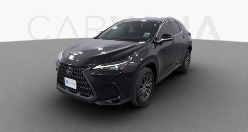 2024 Lexus NX