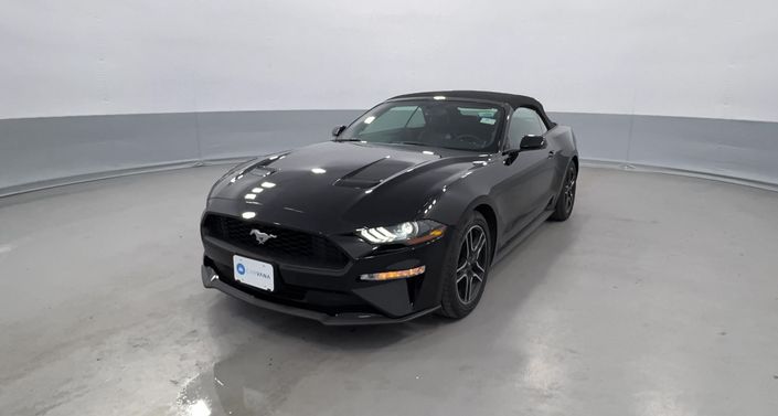 2019 Ford Mustang  -
                Akron, NY
