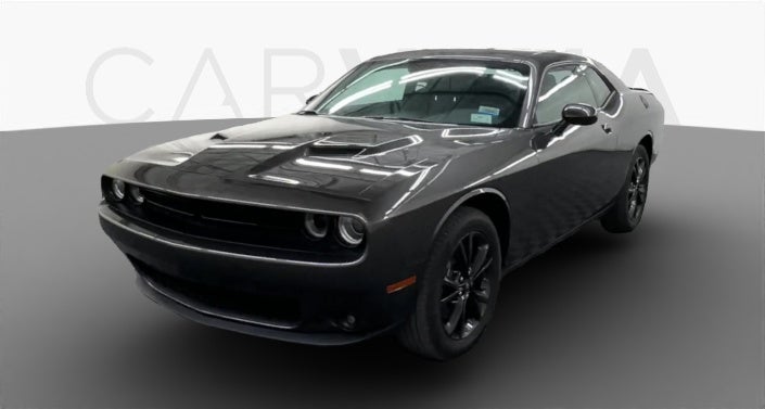 ＄＄＄様challenger TEE2枚まとめ買い専用。 CHALLENGER L/S Snaking Logo Tee