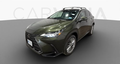 2023 Lexus NX