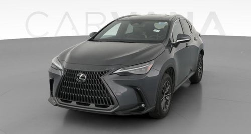 2024 Lexus NX