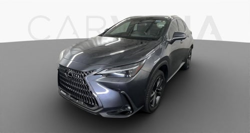 2022 Lexus NX