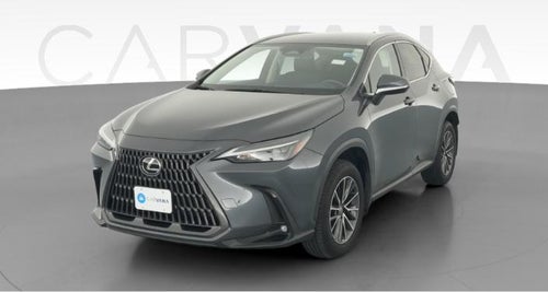 2024 Lexus NX