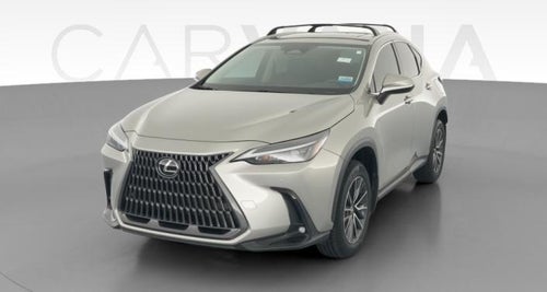 2025 Lexus NX
