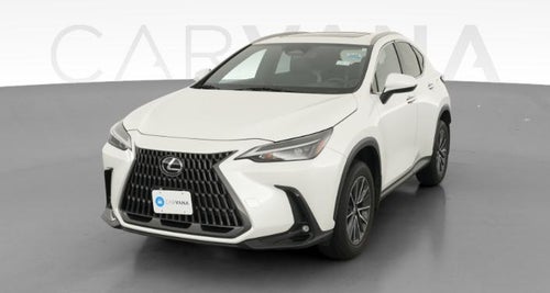2024 Lexus NX