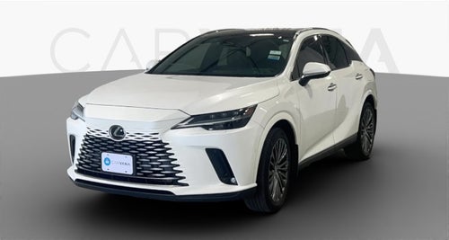 2024 Lexus RX