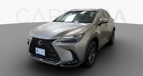 2024 Lexus NX