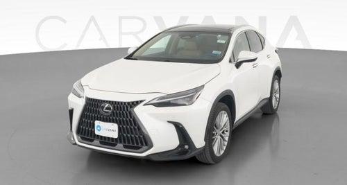 2025 Lexus NX