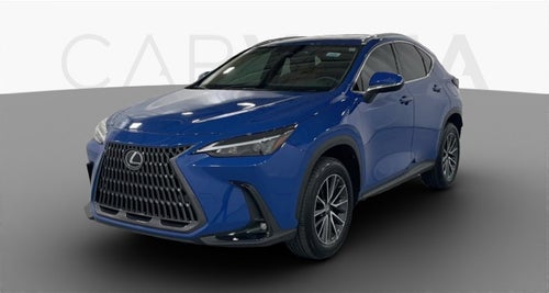 2025 Lexus NX