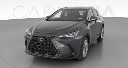 2023 Lexus NX