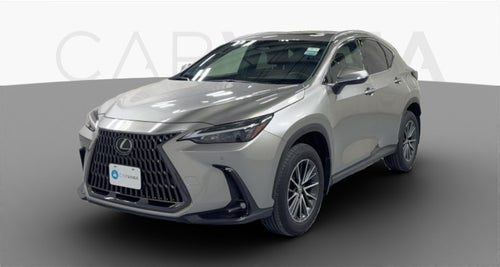 2025 Lexus NX