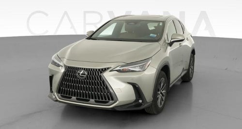 2024 Lexus NX