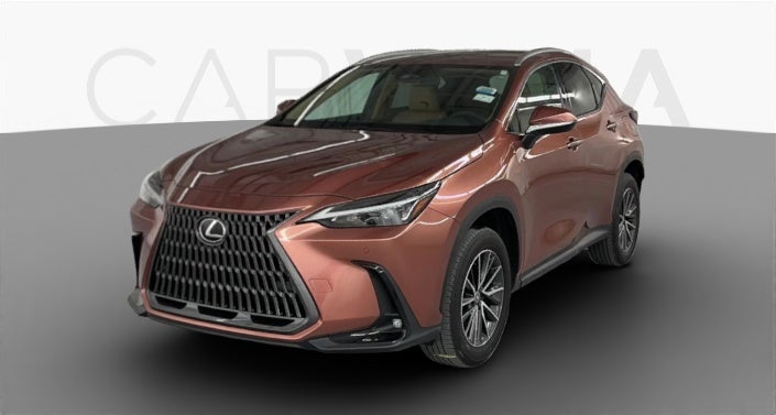 Used Lexus NX 250 for Sale Online | Carvana