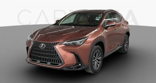 2025 Lexus NX