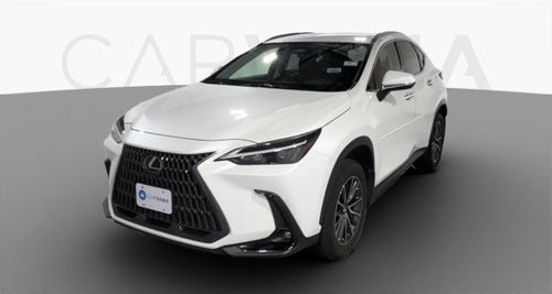 2022 Lexus NX
