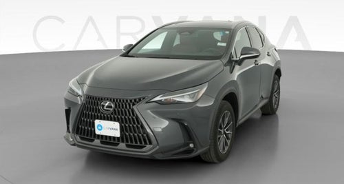 2024 Lexus NX