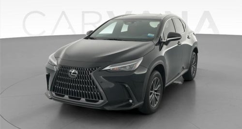 2025 Lexus NX
