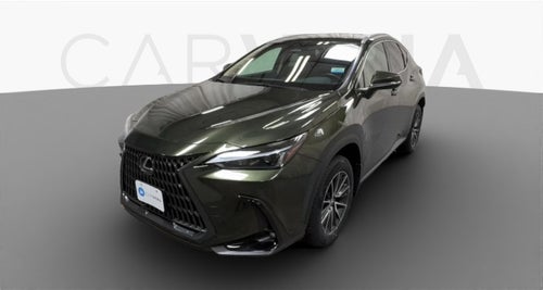 2024 Lexus NX