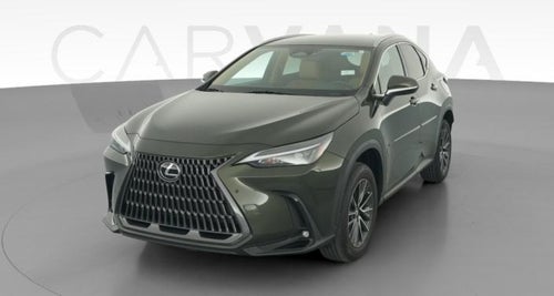 2024 Lexus NX