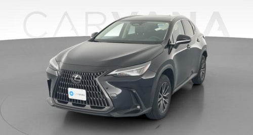 2024 Lexus NX