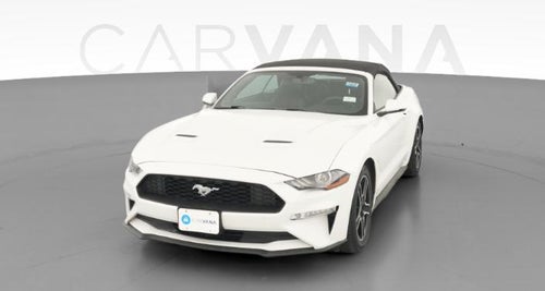 2019 Ford Mustang
