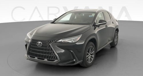 2025 Lexus NX