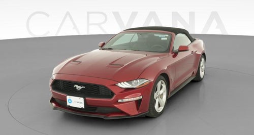 2019 Ford Mustang