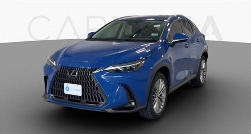 2023 Lexus NX