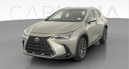 2024 Lexus NX