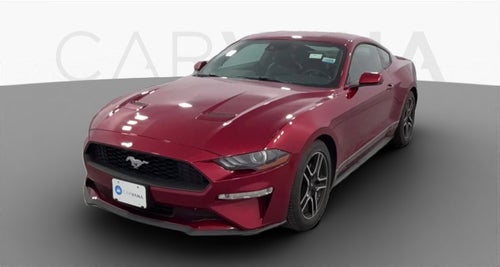 2019 Ford Mustang