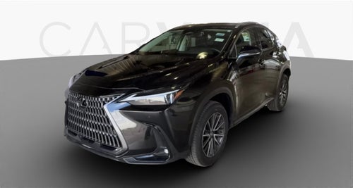 2025 Lexus NX