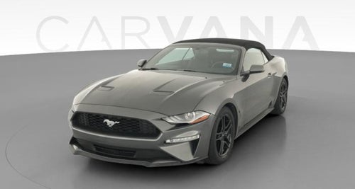2019 Ford Mustang