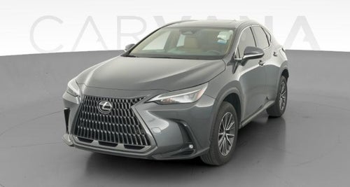 2024 Lexus NX