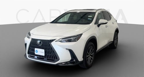 2023 Lexus NX