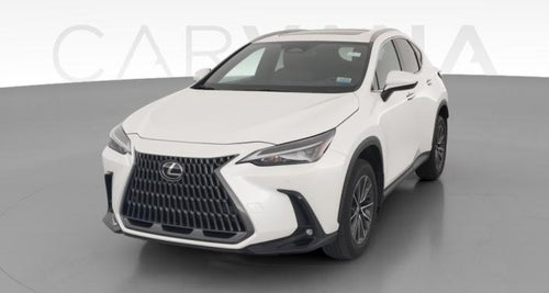 2024 Lexus NX