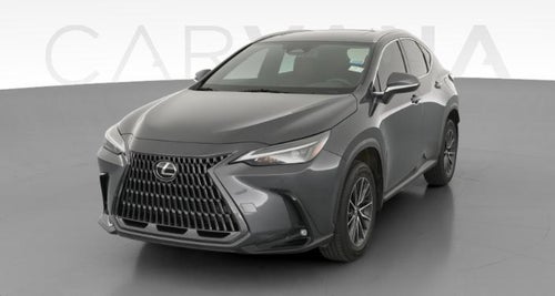 2024 Lexus NX