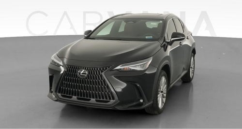 2025 Lexus NX
