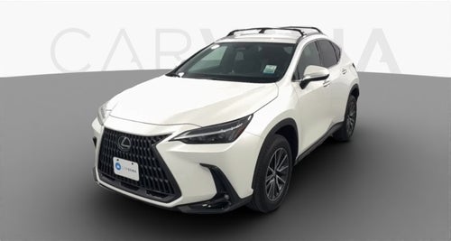 2024 Lexus NX