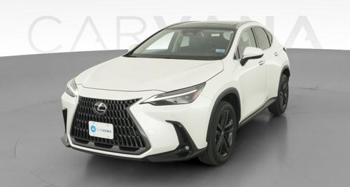 2025 Lexus NX