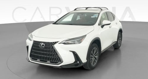 2025 Lexus NX