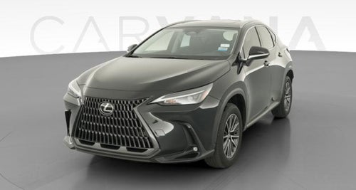 2024 Lexus NX