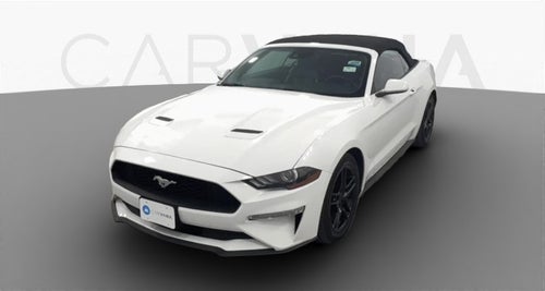 2022 Ford Mustang
