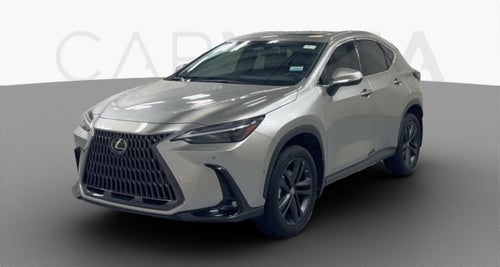 2023 Lexus NX