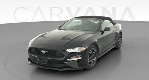 2019 Ford Mustang