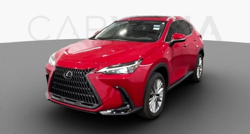 2025 Lexus NX