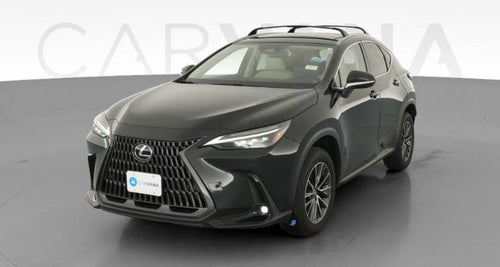 2025 Lexus NX