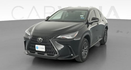2025 Lexus NX