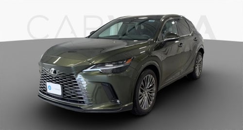 2025 Lexus RX